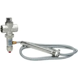 Thermische Ablaufsicherung STS20 von WATTS - 2 x 3/4'' IG - max. 10 bar - Einstellung 97°C - 0232120