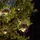 ETC Shop Led Solar Pendellaterne 4er Set