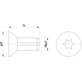 Textar Schraube, Bremsscheibe TPM0012