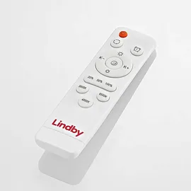 LINDBY Gracjan Deckenleuchte Black/Gold 9924026