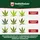Veddelholzer All in One Bio Cannabis Dünger 0,5 l