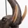 Kare Design Animal Elephant Stehleuchte, E27, 56130,