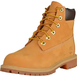 Timberland 6 In Premium - Beige -