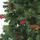 Beliani Weihnachtsbaum Jacinto Dunkelgrün 180 cm
