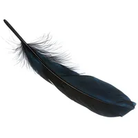 Brunnen 216620612 Gänsefedern - 21 cm schwarz 8 Stück
