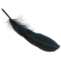 Brunnen 216620612 Gänsefedern - 21 cm schwarz 8 Stück