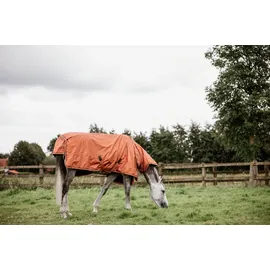 Kentucky Turnout Rug All Weather Pro 160g 130 Navy