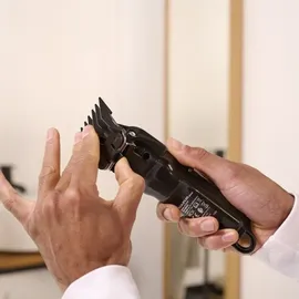 Taurus Alpatec Haartrimmer HESTIA Schwarz