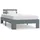 vidaXL Massivholzbett 100 x 200 cm Grau
