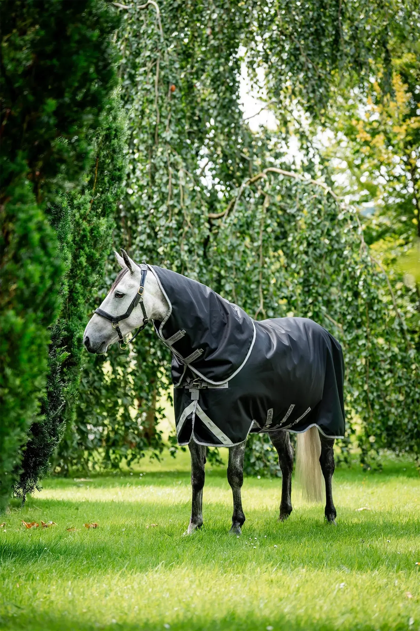 Horseware Amigo Bravo 12 Plus 100g