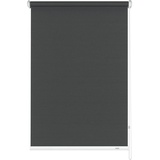 GARDINIA Seitenzug-Rollo für Fenster, Blickdicht, Lichtdurchlässig, Sichtschutz, Blendschutz, Montage mit Bohren, Grau, 52 x 180 cm