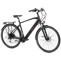 Tretwerk Bronx 5.0 E Bike 28 Zoll Pedelec 165