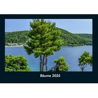 Vero Kalender Bäume 2026 Fotokalender DIN A4 von Tobias