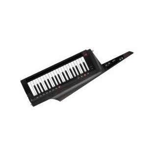 Keytar RK-100S2 schwarz