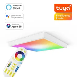 RGB+CCT LED Panel 60x60cm inkl. MiBoxer Smarthomesteuerung 48W 24V Rahmen weiß -...