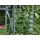 Vitavia Lamellen-Wandfenster 61 cm x 45 cm Alu-Blank