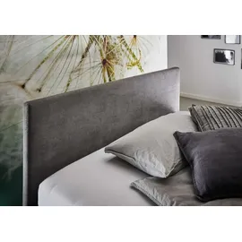 Meise Möbel Polsterbett Cool 90 x 200 cm anthrazit