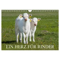 Calvendo Ein Herz für Rinder (Wandkalender 2026 DIN A4