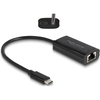 DeLock USB Type-CTM Adapter zu Gigabit LAN mit Power