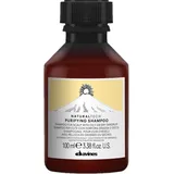 Davines Naturaltech Purifying Shampoo