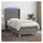 vidaXL Boxspringbett 100 x 200 cm Dunkelgrau