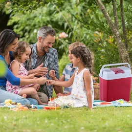 Arebos Elektrische Kühlbox 20L