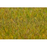 faller® Streufasern Wiese 180484 G