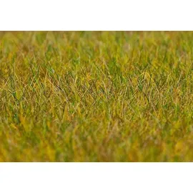 faller® Streufasern Wiese 180484 G