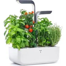 Veritable Véritable, Connect Indoor Garden (18 cm)