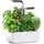 Veritable Véritable, Connect Indoor Garden (18 cm)
