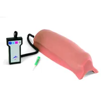 3B Scientific Intramuskulärer Injektions-Simulator - Oberschenkel