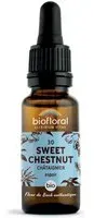 BIOFLORAL 30 - Sweet chestnut Châtaignier 20 ml Goutte(S)