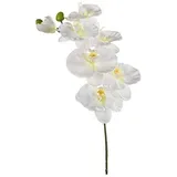 artplants.de Künstliche Blume Phalaenopsis Orchideen Zweig BASTET, weiß, 80cm