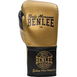 BENLEE Leather boxing gloves TYPHOON 10 OZ