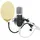 Pronomic CM-22 Großmembranmikrofon SET inkl. Popschutz gold)