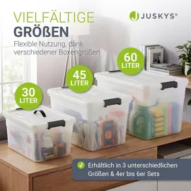 Juskys Aufbewahrungsbox Kunststoff 30 l transparent/weiß