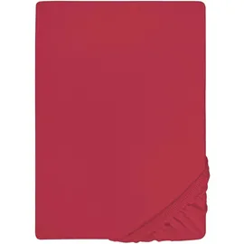 biberna Spannbettlaken Jersey-Elasthan 90 x 190 - 100 x 220 cm rot