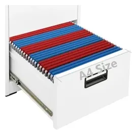vidaXL Aktenschrank Weiß 46x62x72,5 cm Stahl