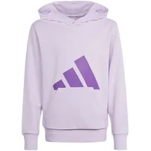 adidas Hoodie Ice Lavender/Active Purple 140