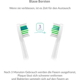 TrueLife SonicBrush Compact Aufsteckbürste 8 St.