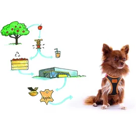 Curli Apple Leather Geschirr schwarz XS