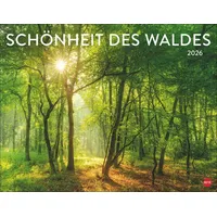 Heye Schönheit des Waldes Posterkalender 2026