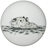 speecheese Schwimmendes Capybara Magnet rund rund Niedliches Dickes Capybara - Süßer Magnetheld schwimmend im Wasser Ideal für See-Liebhaber und Nagetier-Fans