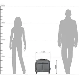 Lightpak Phoenix 4-Rollen Cabin 44,5 cm / 15 l grau