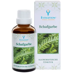 Evolution Schafgarbe Tinktur Flüssigkeit 50 ml