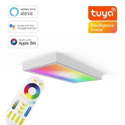 RGB+CCT LED Panel 60x30cm inkl. MiBoxer Smarthomesteuerung 24W 24V Rahmen weiß -...