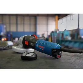 Bosch GWX 17-125 S Professional 06017D2300