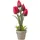 Homescapes Kunstblumen, Tulpen rot im Steinoptik-Topf, 27 cm,