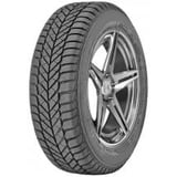 Diplomat Winter ST 195/65 R15 91T