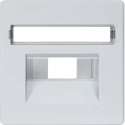SIEMENS Netzwerk-Abdeckplatte 5TG1258 aluminium-metallic